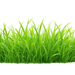 Obraz premium Lush green grass blades (1)