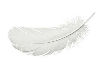 Obraz premium Isolated Delicate White Feather Light as Air