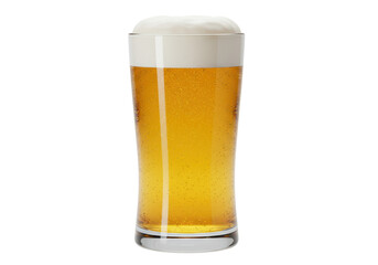 Isolated Tall Glass of Golden Beer with Foam