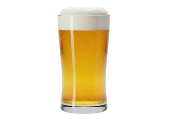 Isolated Tall Glass of Golden Beer with Foam