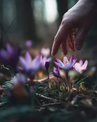 Poster Hand reaching for blooming flowers in a forest