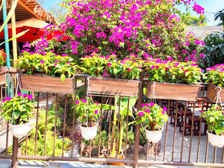 Vibrant flowers in hanging planters enhance the outdoor dining experience at a tropical cafe in the...