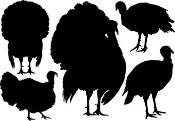 set of turkey silhouettes.eps