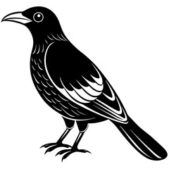 Fototapeta premium bird on a branch