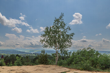 Russia, Kislovodsk - June 19, 2024: Rose garden in Kislovodsk National Park