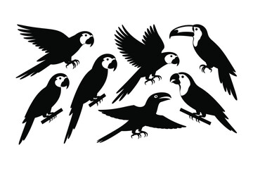 Collection of diverse tropical bird silhouettes vector in flight and perched.