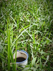 A glass of coffee hidden behind dew-covered bushes