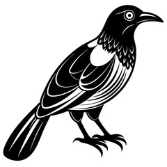 bird on a white background