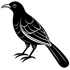 Obraz premium bird on a branch