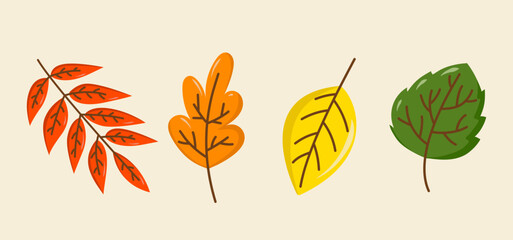 Obraz premium Set of cute colorful autumn leaves in cartoon style. Hand-drawn fall foliage clipart in red, orange, yellow, and green. Perfect for seasonal decorations, kids' products, greeting cards, posters.