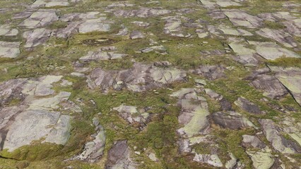 Lichen on rock and stone texture background. Stones texture ground. Realistic rock texture on perspective view. Natural stone surface texture.