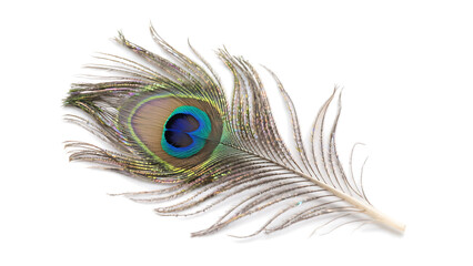 Transparent PNG Peacock Feather, Single iridescent peacock feather with vibrant eye isolated on transparent background, detailed macro shot showcasing intricate texture and color variations.