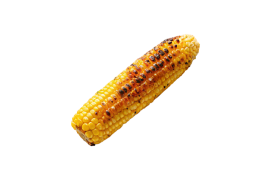 Single ear of roasted corn with golden yellow kernels and dark char marks from barbecue grilling, isolated on a transparent background