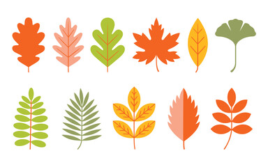 Set of Autumn Leaves – Flat Vector Illustration of Oak, Maple, Chestnut, Ash, Birch in Yellow, Red, Orange for Seasonal Pattern, Banner, Sticker, and Hello Autumn Card

