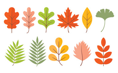 Obraz premium Set of Autumn Leaves – Flat Vector Illustration of Oak, Maple, Chestnut, Ash, Birch in Yellow, Red, Orange for Seasonal Pattern, Banner, Sticker, and Hello Autumn Card