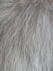 A close-up texture of soft, luxurious gray animal fur, showcasing its fine strands and natural variations in tone
