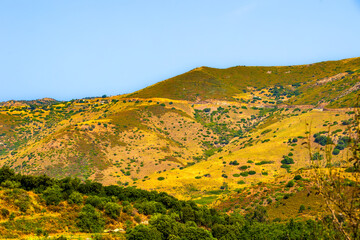 Golden hills with scattered shrubs under blue sky, France, Corsica, Ajaccio, 13 June 2025