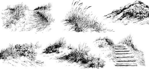 Vintage coastal landscape sketch set: dunes and pathways for retro design projects
