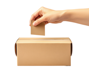 Casting a vote boxed ballot digital election neutral space. Isolated on transparent background, png.