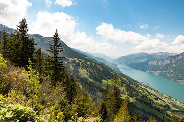 View of Lake Walen, Switzerland, Swiss Alps, Canton St. Gallen. Trees, meadows small villages in...