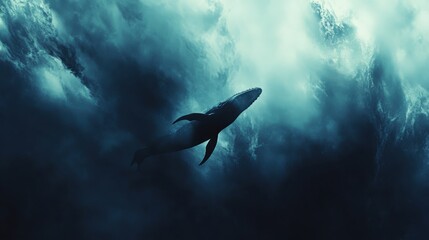 Fototapeta premium Majestic whale silhouette in a dark underwater scene.