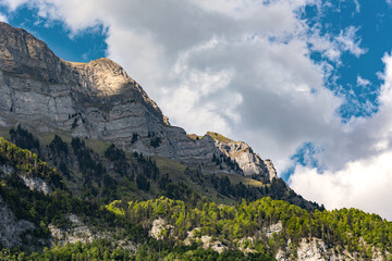 Mountain peak with trees, Switzerland, Canton St. Gallen, Swiss Alps, Hinterrugg mountain. Sunny...