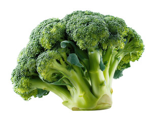 Fresh broccoli preparation kitchen food bright healthy. Isolated on transparent background, png.