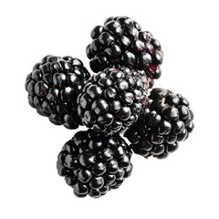 Fresh Blackberries Isolated on White
