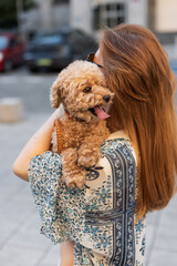 Close-up of a woman embracing her joyful toy poodle on a sunny street. Golden hour glow and city...