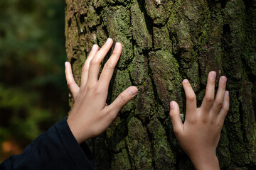 mother and her child looking at and touching a tree, nature education for children concept