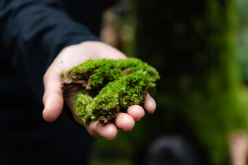 hand holding a green moss in the woods