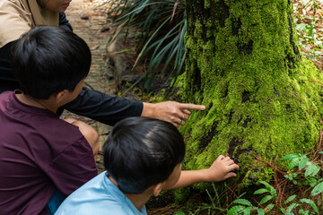 mother and her child looking at and touching a green moss, nature education for children concept