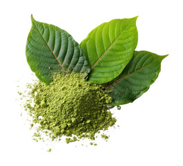 Harvesting kratom leaves and powder in nature's green. Isolated on transparent background, png.