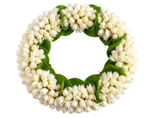  “Traditional Garland of Jasmine Flowers, isolated on a transparent background”