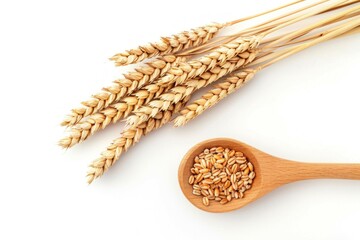 Golden wheat spikes and rustic wooden spoon holding wheat grains isolated