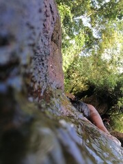 small waterfall in the forest