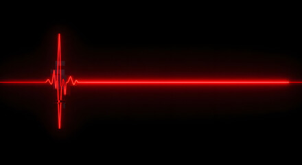 Silent Symphony of Life: A minimalist yet powerful visualization of a red electrocardiogram line against a stark black backdrop, evoking the rhythm of life, health, and critical moments. 