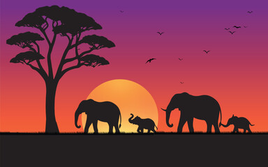 African elephant family are walking, evening, sunset, in savannah.