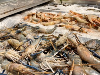 fresh A lot variant of shrimps at the market