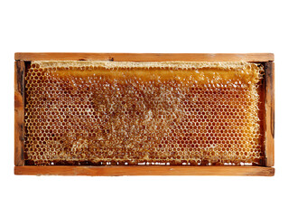 Apiary frame isolated on clean white background