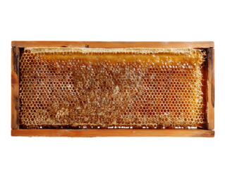 Apiary frame isolated on clean white background