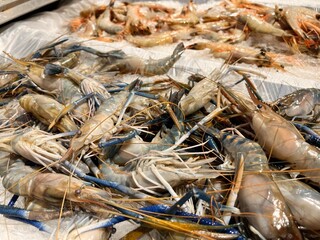 fresh shrimps on the Local market