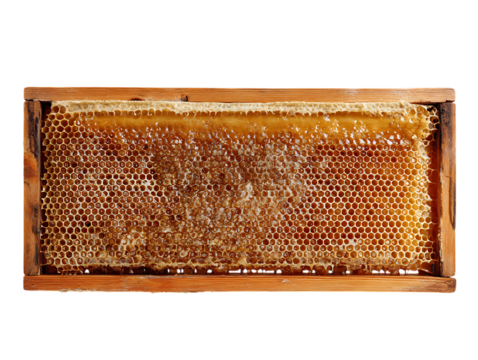 Apiary frame isolated on clean white background - Powered by Adobe