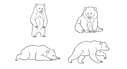 Sloth bear illustrations in various poses on white background  