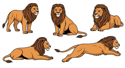 Asiatic lion in different poses showcasing strength and agility  