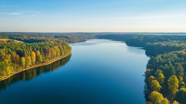 Lake and forest line with scenic nature views