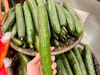 fresh cucumbers on the market