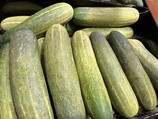 fresh cucumbers form farmer