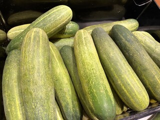 fresh cucumbers on market stall