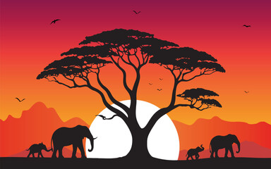 African elephant family are walking, evening, sunset, in savannah.